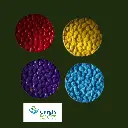 coaster 5 a.webp