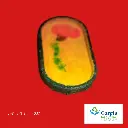 Trinket Tray 14b.webp