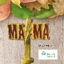 MAMA